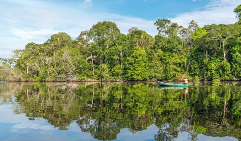 A lone canoe on the river in the Amazon jungle in Bolivia